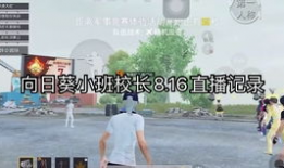 和平精英校长91直播,揭秘游戏幕后，畅谈电竞未来
