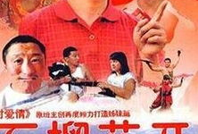 励志 电视剧,励志剧中的奋斗传奇