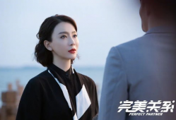 完美关系电视剧,职场情场双线交织，揭秘广告界的风云变幻