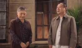 喜剧 电视剧,喜剧电视剧的欢乐盛宴