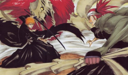 bleach 漫画, Bleach 漫画概览
