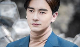 郑元畅主演电视剧,青春校园的浪漫传奇