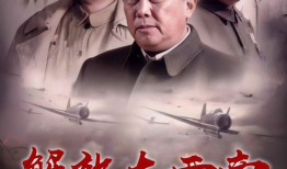进军大西南电视剧,战火烽烟中的英雄征程