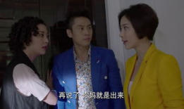 功夫婆媳电视剧剧情,功夫传奇里的爱恨纠葛